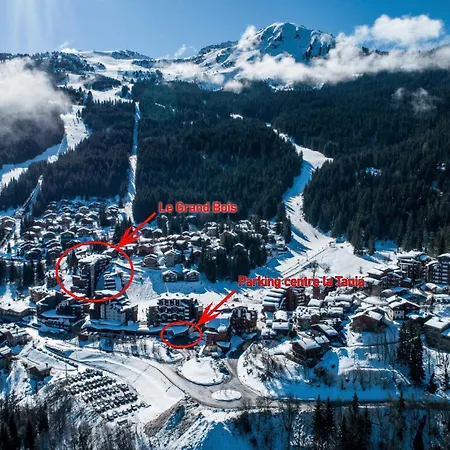 Apartment Grand Bois A - Confortable 2 Pieces, Skis Aux Pieds Et Proche Des Commerces Mae-2254 La Tania